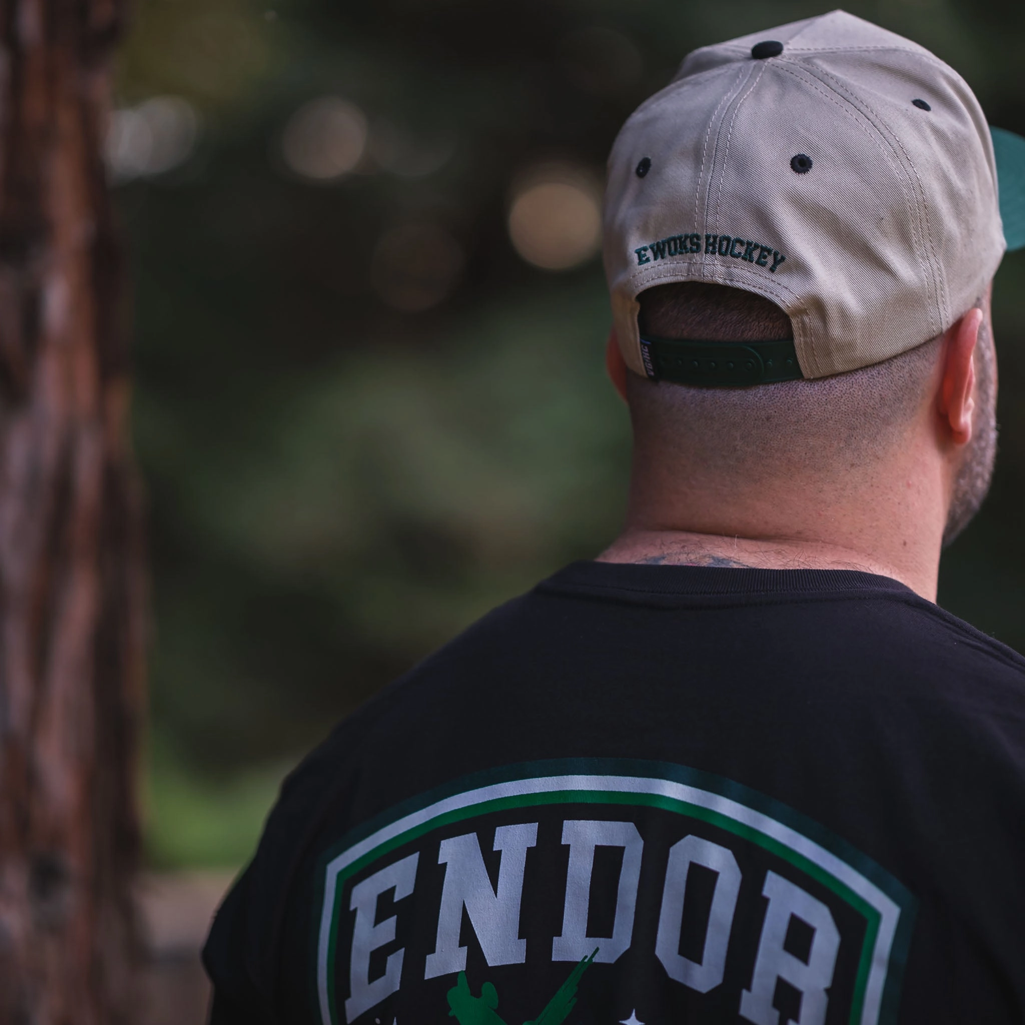 Ewoks A-Frame Snapback