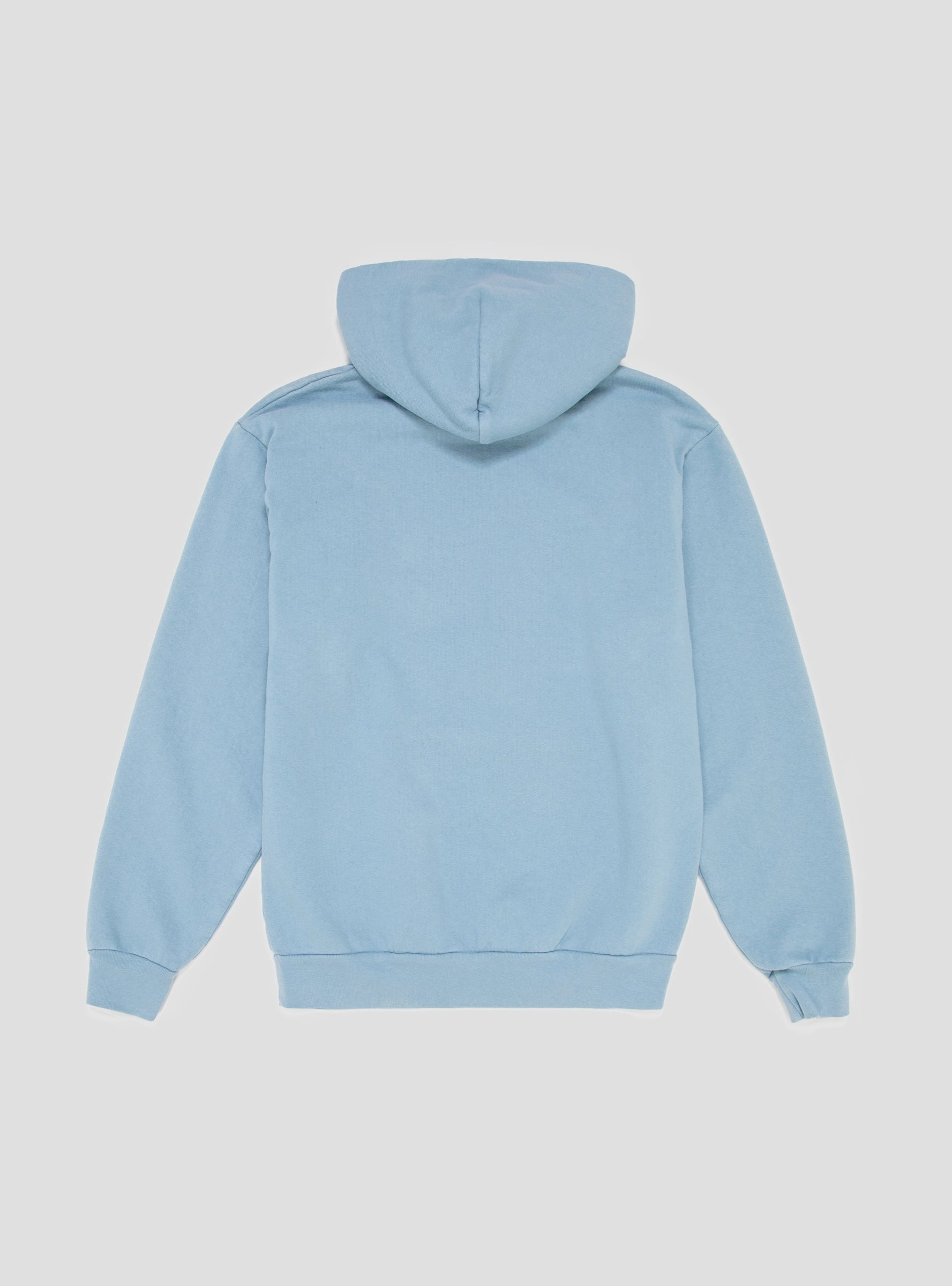 Loose Leaf Hoodie Sky