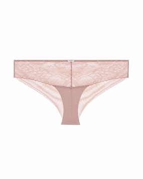 Petra Brief