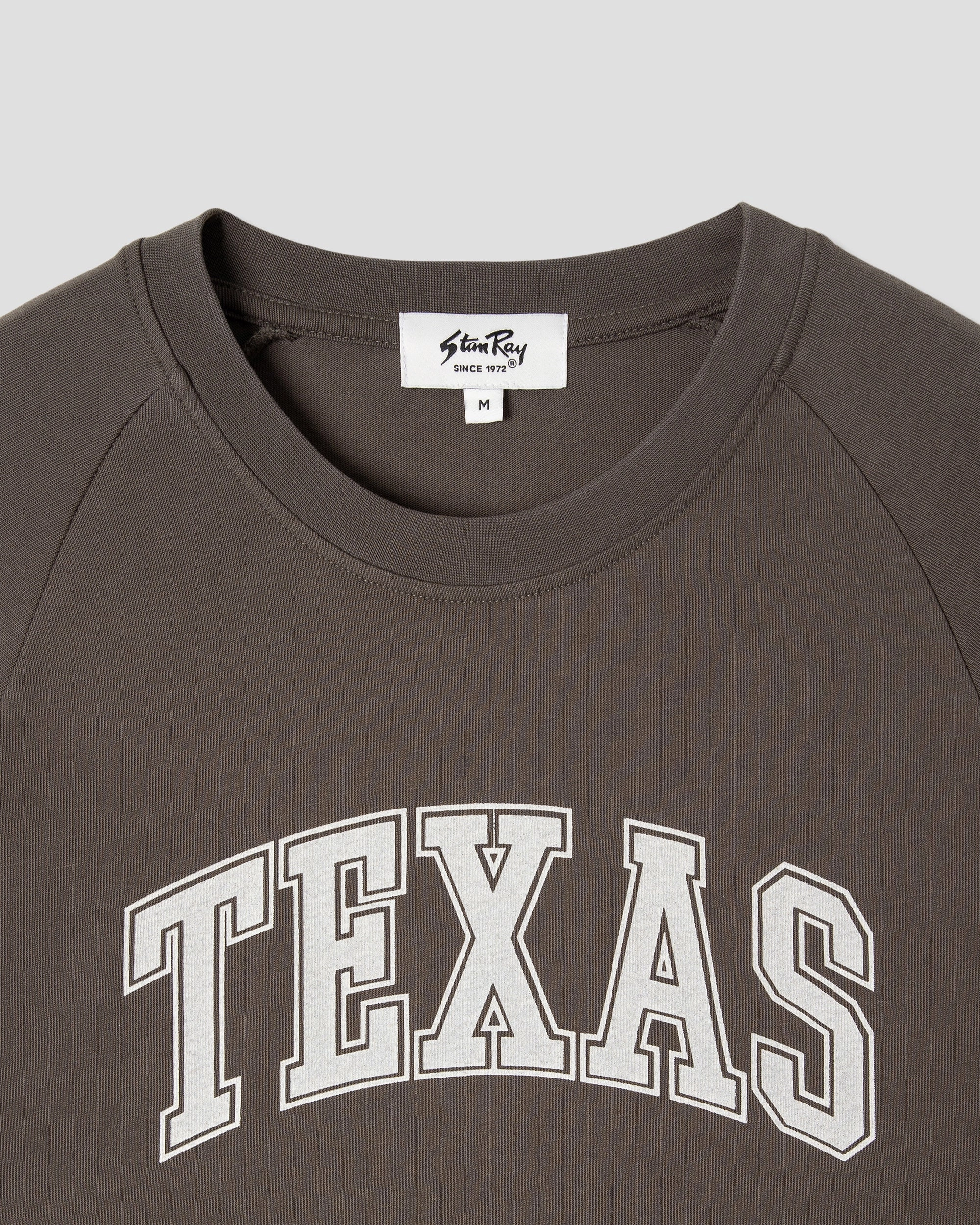 Raglan Stripe Tee (Washed Black)